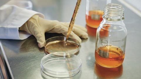 un laboratorio della multinazionale britannica Gsk