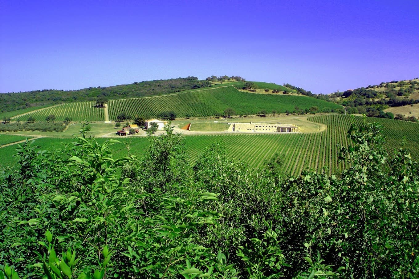 La tenuta di Poggio Verrano in Maremma