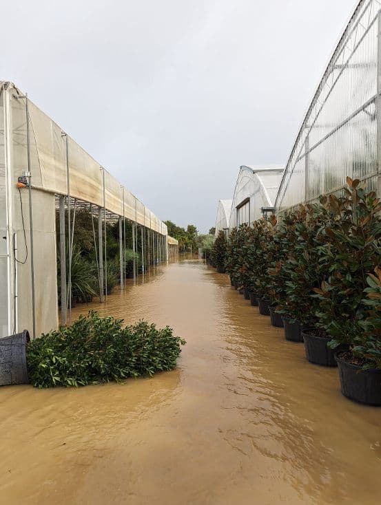 Un vivaio di Pistoia colpito dall'alluvione in Toscana dello scorso 2 novembre.