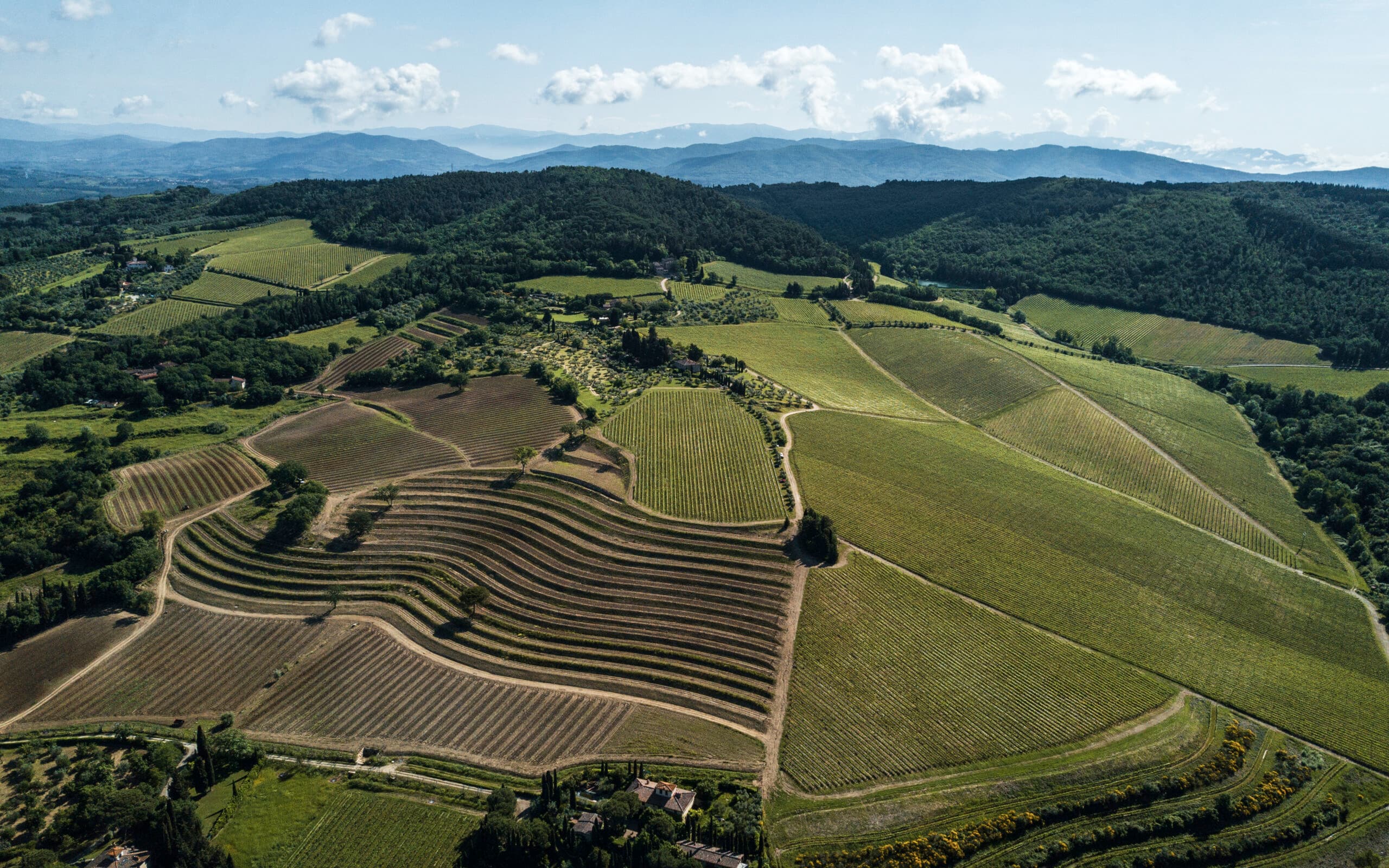 La collina di Tignanello con i vigneti che danno il celebre vino