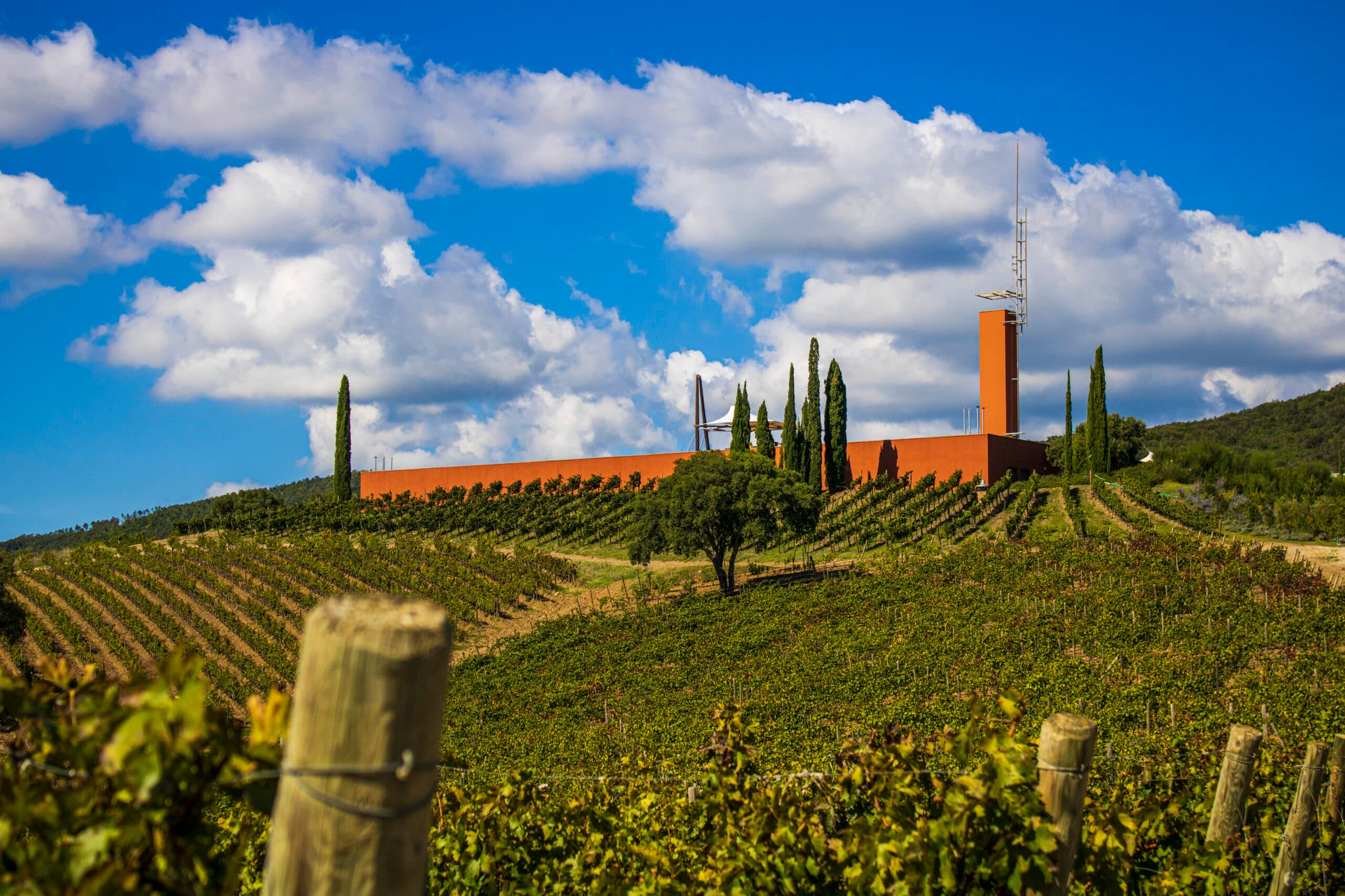 La cantina della tenuta maremmana Rocca di Frassinello progettata da Renzo Piano