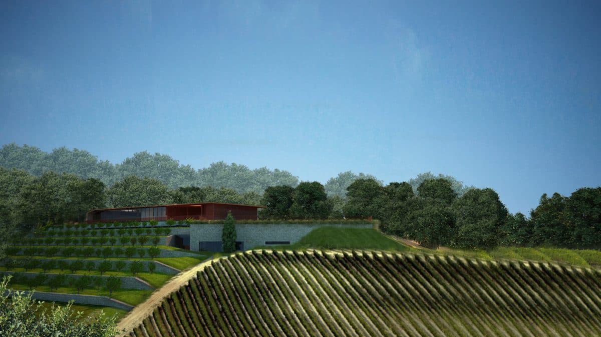Il rendering della nuova cantina Bertinga (dal sito Mario Mazzer Architects)