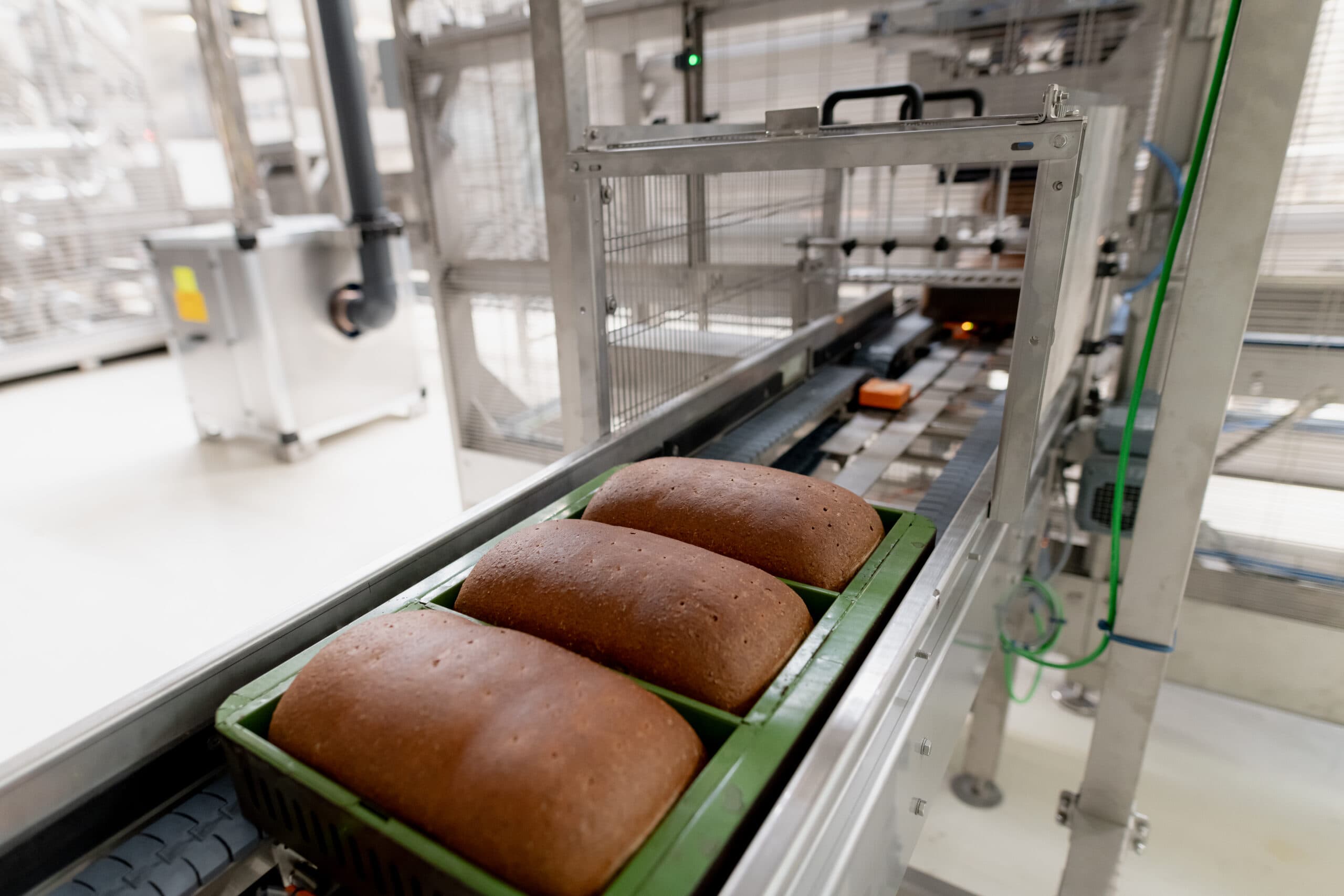La linea produttiva del pane senza glutine di Bauli ad Altopascio
